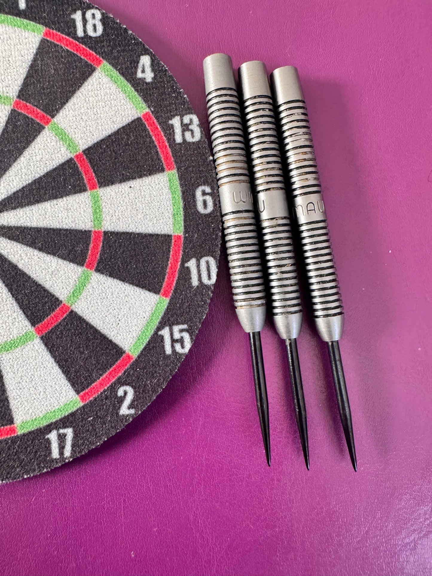 24 Gr Winmau Darts